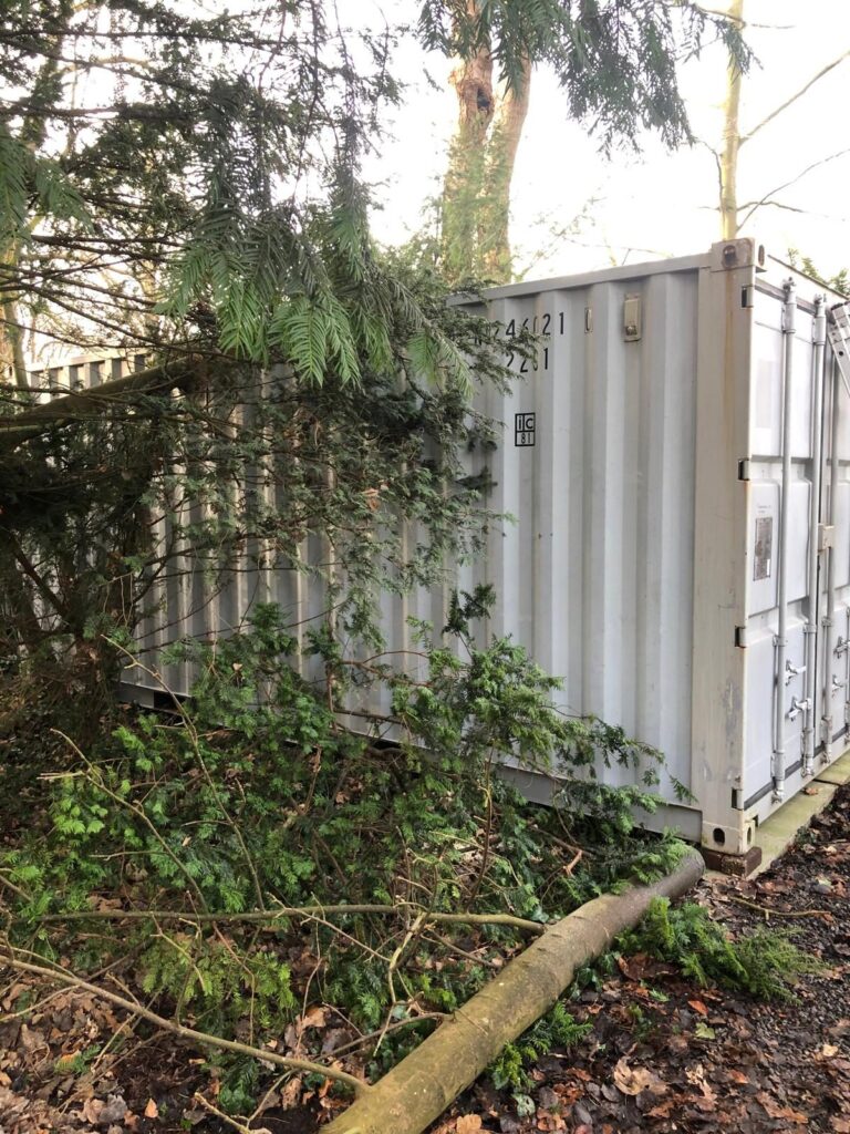 De zeecontainer staat tussen de bomen